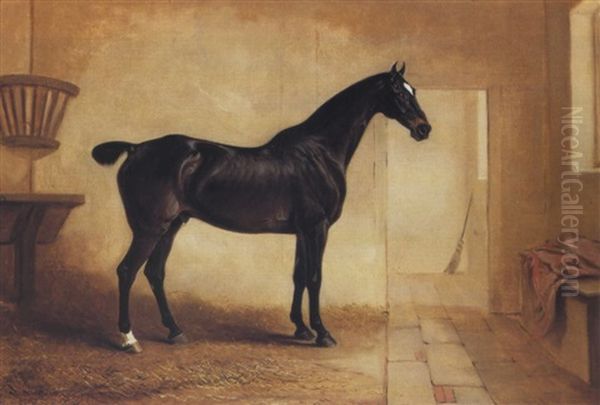 Harlequin, A Dark Bay Hunter In A Stable Oil Painting by John E. Ferneley