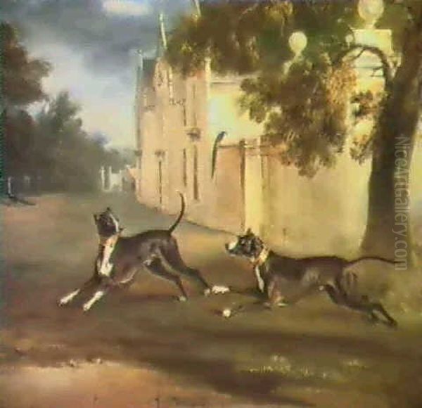 The Earl Of Brownlow's Two Bull Terriers 