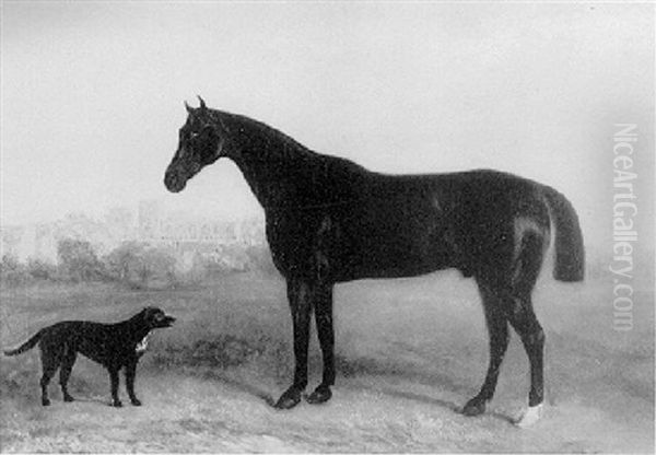 A Black Hunter And A Dog Oil Painting by John E. Ferneley