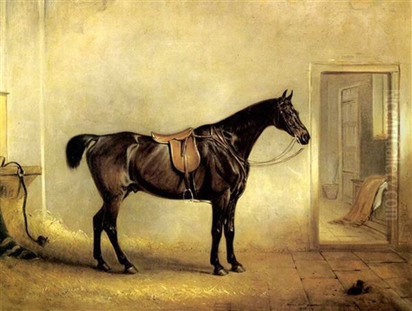 A Dark Bay Hunter Saddled Up In A Stable Oil Painting by John E. Ferneley