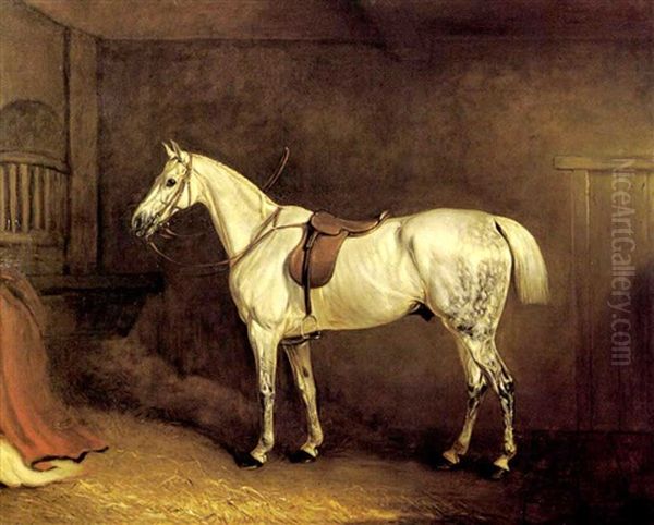 A Grey Hunter Saddled Up In A Stable Oil Painting by John E. Ferneley