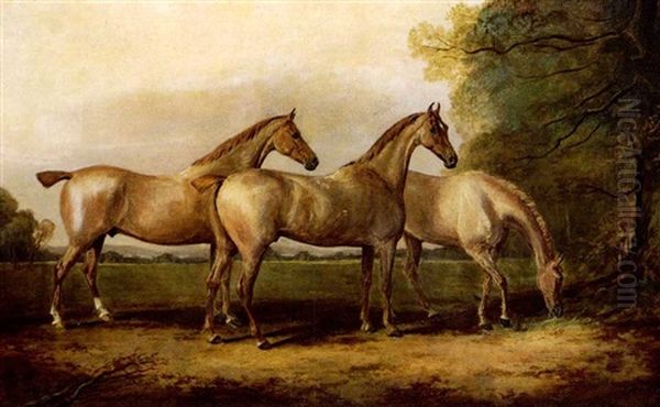 Mares In Pasture Oil Painting by John E. Ferneley