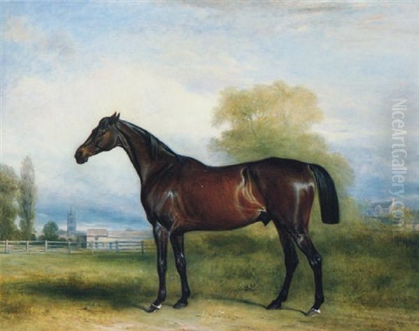 A Dark Brown Stallion In A Paddock, A Village In The Distance Oil Painting by John E. Ferneley