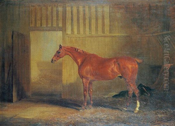 A Chestnut Hunter In A Stable Oil Painting by John E. Ferneley