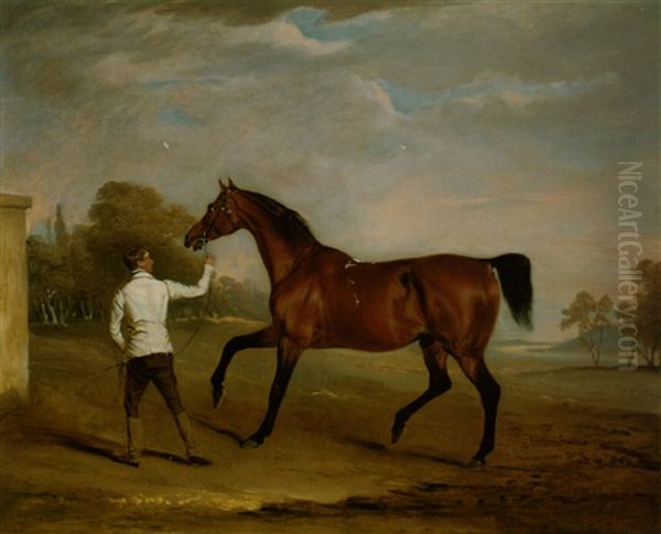 'doyler' Held By A Groom, The Property Of Massey Stanley, Esq. Oil Painting by John E. Ferneley