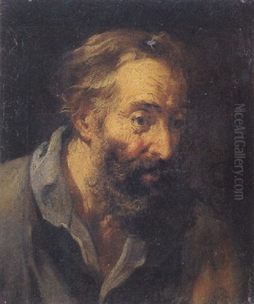 Head Of A Bearded Man Oil Painting by Gregorio de Ferrari