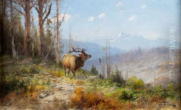 Glacier Park Elk By John Fery Oil Painting by John Fery