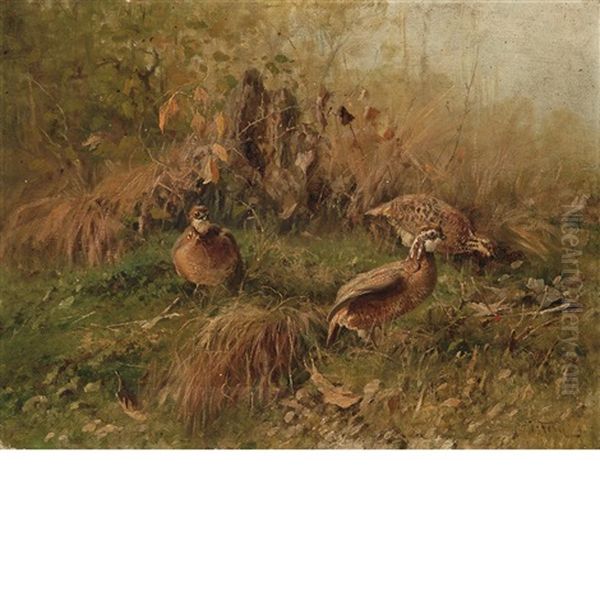 Three Quail In A Landscape by John Fery