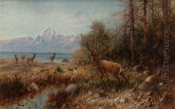 Elk On Jackson Lake Oil Painting by John Fery