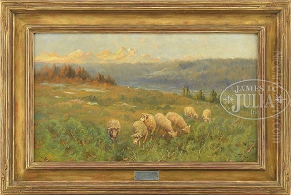 Sheep In Central Oregon Oil Painting by John Fery