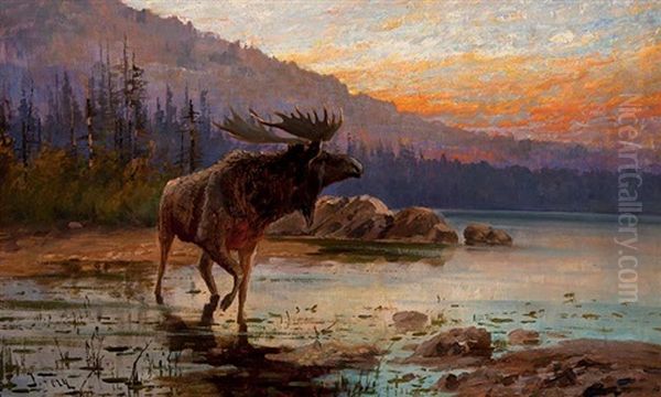 Moose On Jackson Lake Oil Painting by John Fery