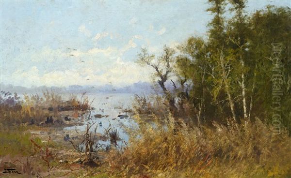 Marshlands Oil Painting by John Fery