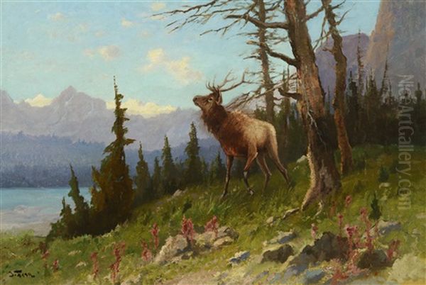 Elk In The Mountains Oil Painting by John Fery