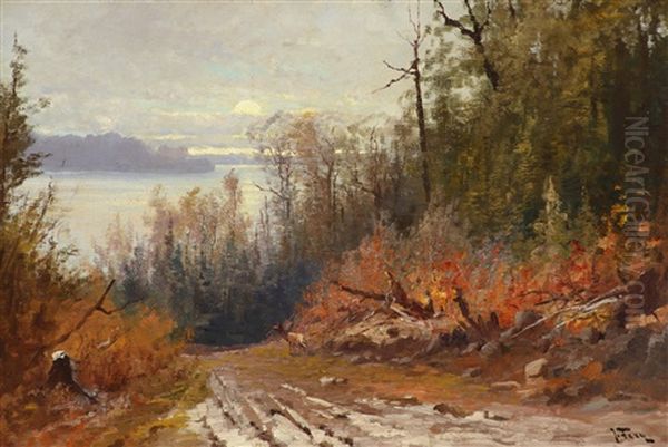 Flathead Lake - View From The East Shore Oil Painting by John Fery