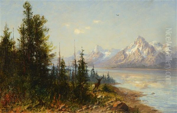 Jackson Lake Majesty, Wyoming Oil Painting by John Fery