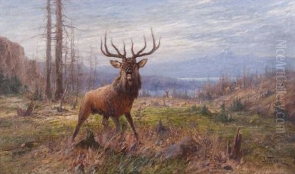 Elk Oil Painting by John Fery