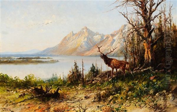 Elk At Jackson Lake, Wyoming Oil Painting by John Fery