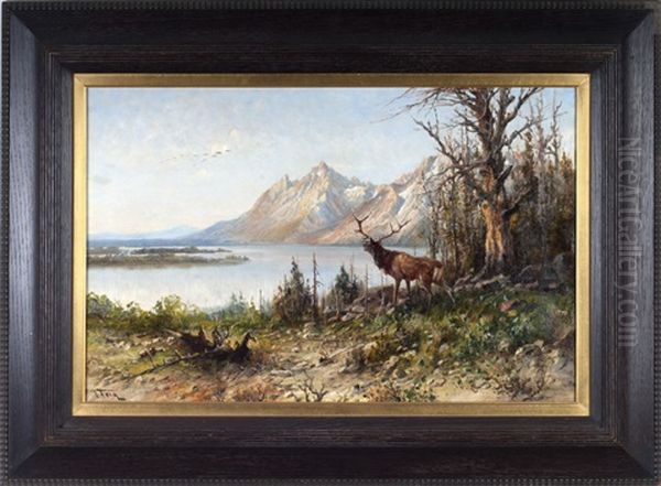 Western Mountain Lake With Elk Oil Painting by John Fery