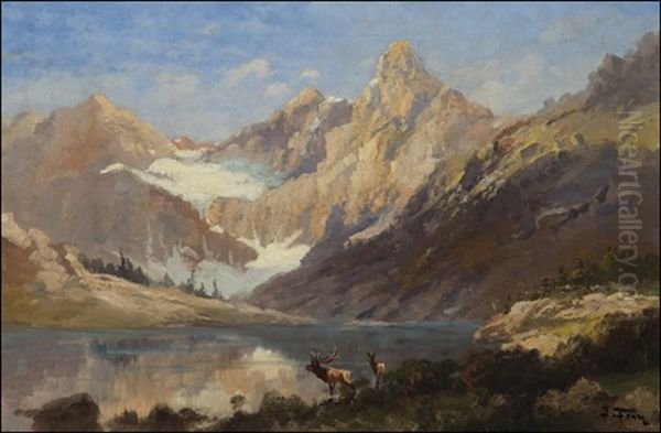 Elk In Glacier Park Oil Painting by John Fery