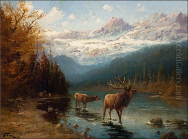 Glacier Elk by John Fery