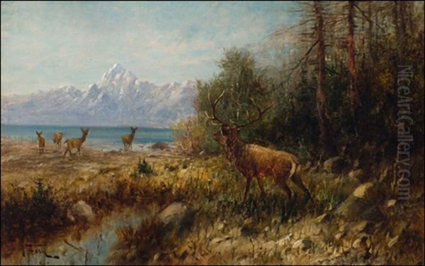 Elk On Jackson Lake, Wyoming Oil Painting by John Fery