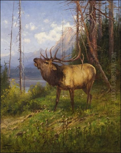 Bull Elk In The Rockies Oil Painting by John Fery