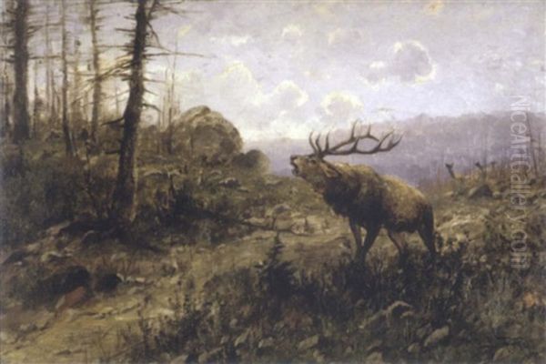 Glacier Elk Oil Painting by John Fery