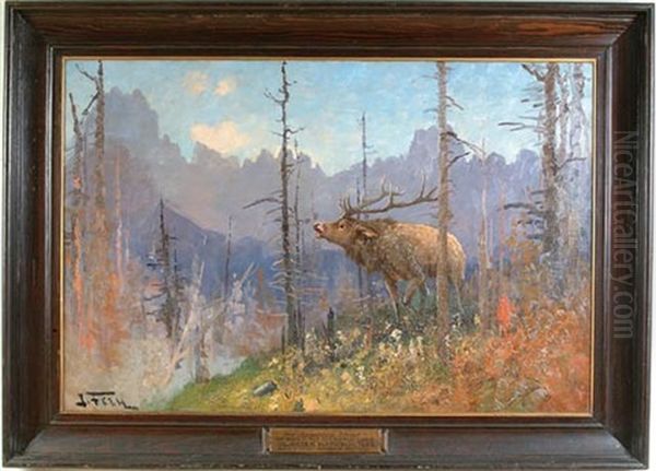 Bellowing Elk Oil Painting by John Fery