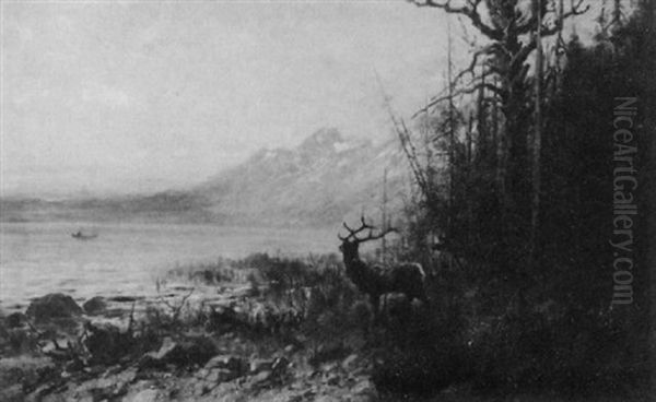 Deer By The Edge Of The River Oil Painting by John Fery