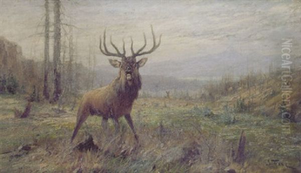 Elk In A Landscape Oil Painting by John Fery