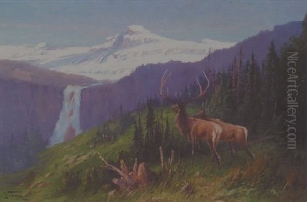 Glacier Elk Oil Painting by John Fery