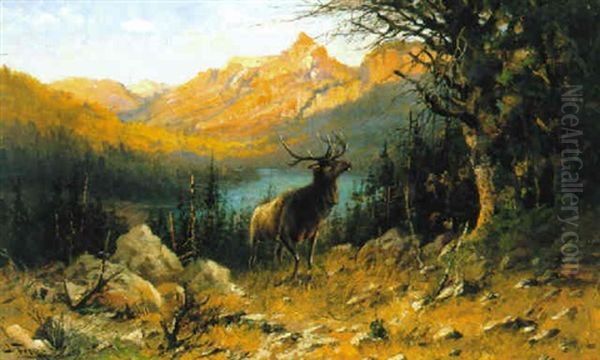 Glacier Elk Oil Painting by John Fery