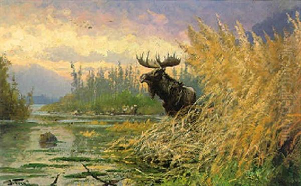 Moose In Landscape Oil Painting by John Fery