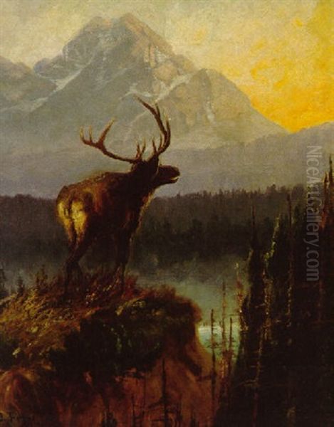 Elk In The Bitterroots Oil Painting by John Fery