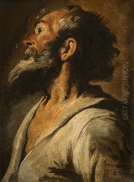 Study Of A Male Head Oil Painting by Domenico Feti