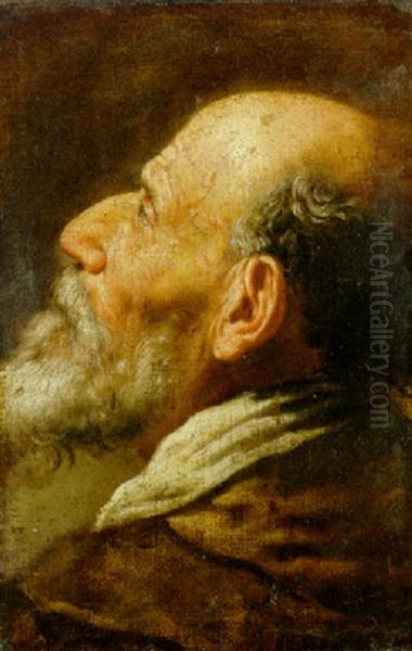 The Head Of A Bearded Man Oil Painting by Domenico Feti