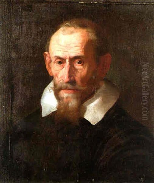 Portrait Of A Gentleman, Wearing A Black Coat And White Collar Oil Painting by Domenico Feti