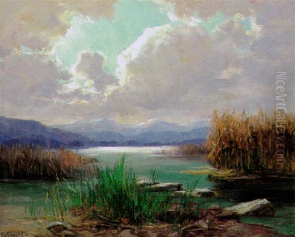 Wolkestimmung Am Chiemseeufer Oil Painting by Theodor Feucht