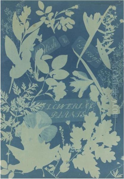 British And Foreign Flowering Plants Oil Painting by Anna Atkins