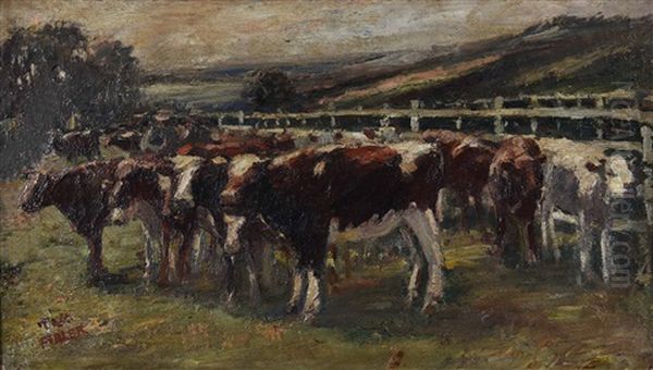 Cows Oil Painting by Harry Fidler