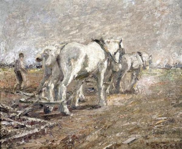 Team Of Greys Oil Painting by Harry Fidler