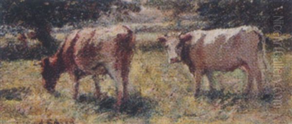 Untitled - Summer Pasture Oil Painting by Harry Fidler