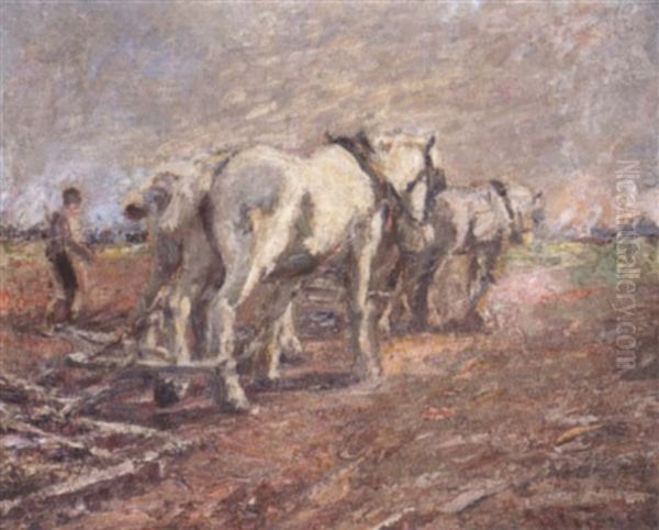 Team Of Greys Oil Painting by Harry Fidler