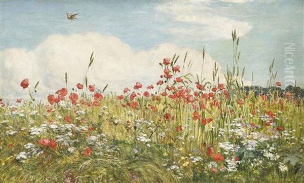 A Poppy Field Oil Painting by Walter Field