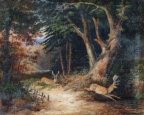 Daims Dans La Foret Oil Painting by Newton (Smith Limbird) Fielding