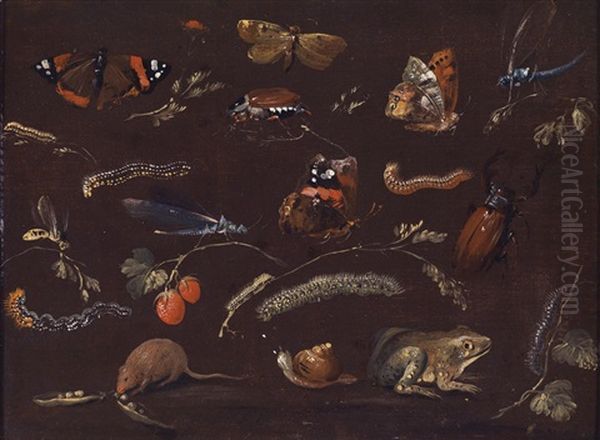 Eine Studie Von Verschiedenen Kleintieren Und Insekten Oil Painting by Dietrich Findorff