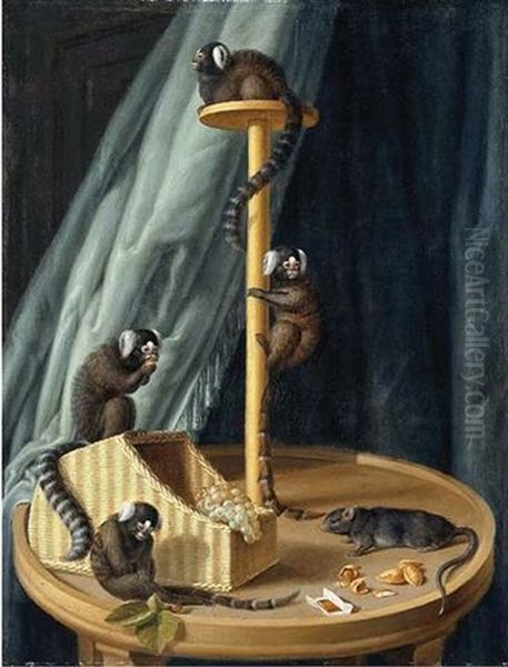 Exotic Species Of Monkeys From The Private Zoo Of The Herzog Christian Ludwig Von Mecklenburg-schwerin Oil Painting by Dietrich Findorff