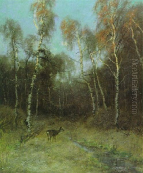 Reh Im Birkenwald Oil Painting by August Fink