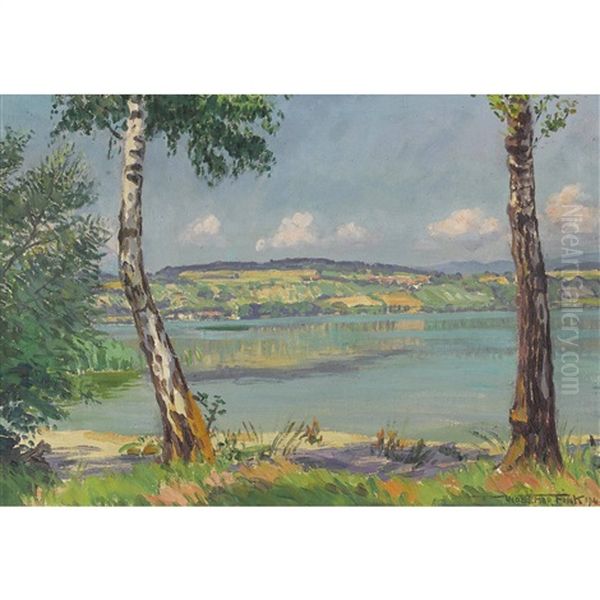 Sommertag Am Murtensee Oil Painting by Waldemar Theophil Fink