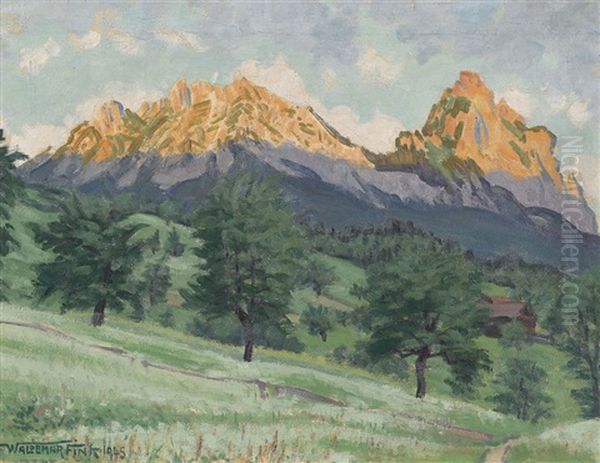 Die Mythen Bei Schwyz In Der Abendsonne Oil Painting by Waldemar Theophil Fink